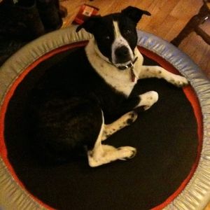 Meet your Posher, Jason